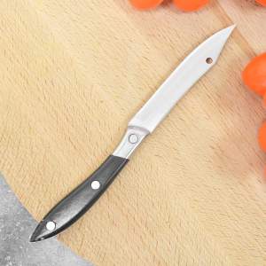 Нож столовый 666 9/18,5см