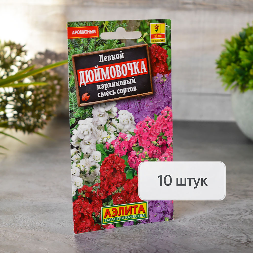 ЛЕВКОЙ Дюймовочка карликовый смесь Аэлита Ц (10шт)