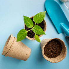 Горшки для рассады